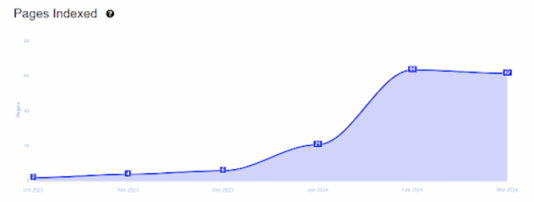 New domain - Pages indexed example